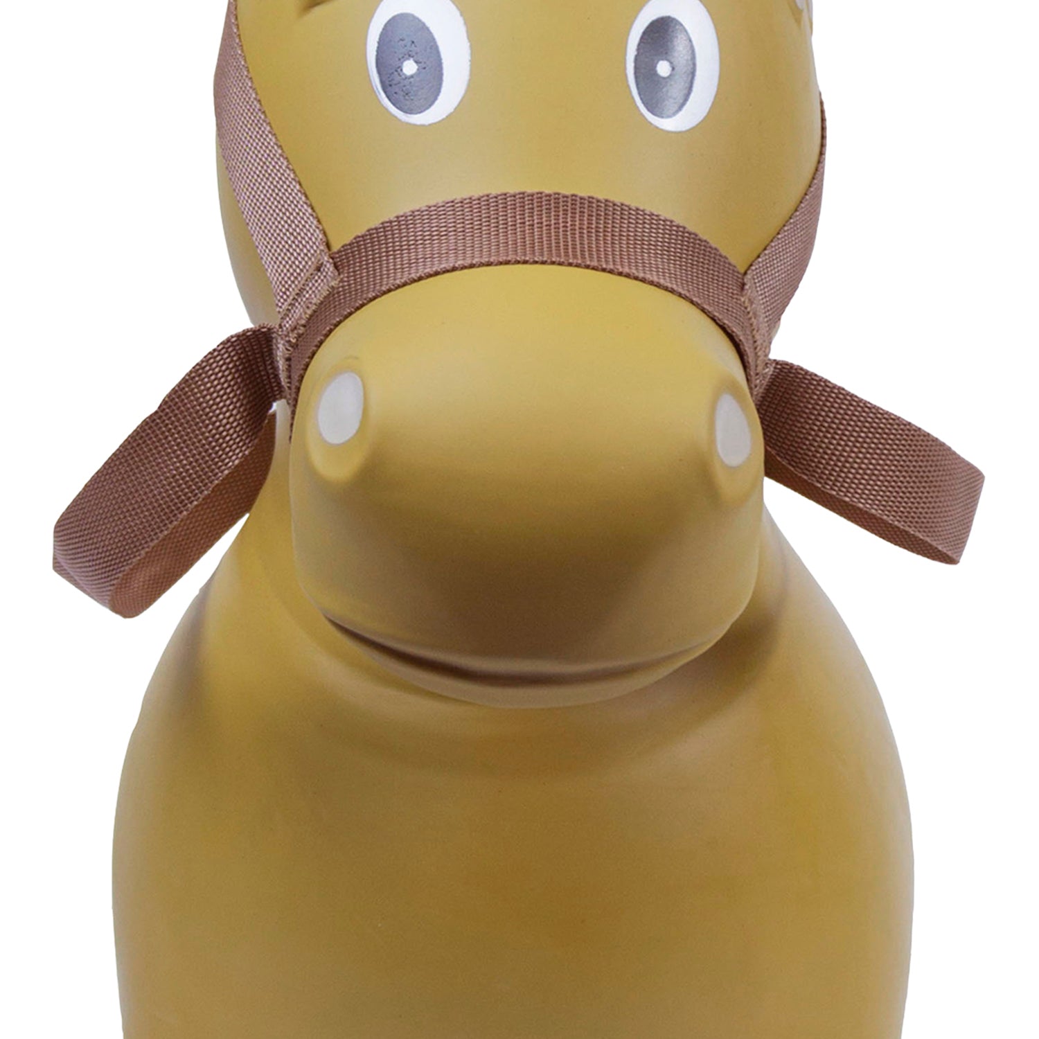 PRCA Lil Bucker Horse - Close Up Front View