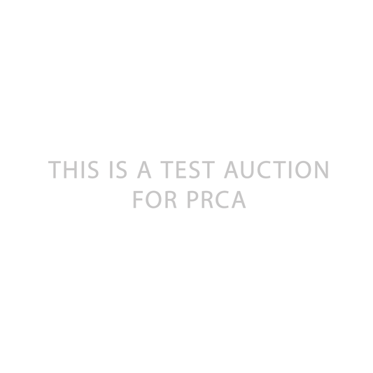 PRCA Auction Test #1